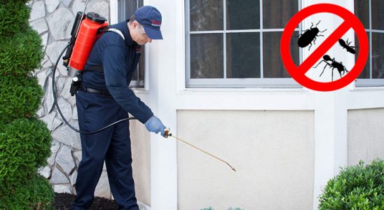 Narman Dezenfeksiyon böcek ilaçlama ve haşere kontrolü — ilaclama-tr.com